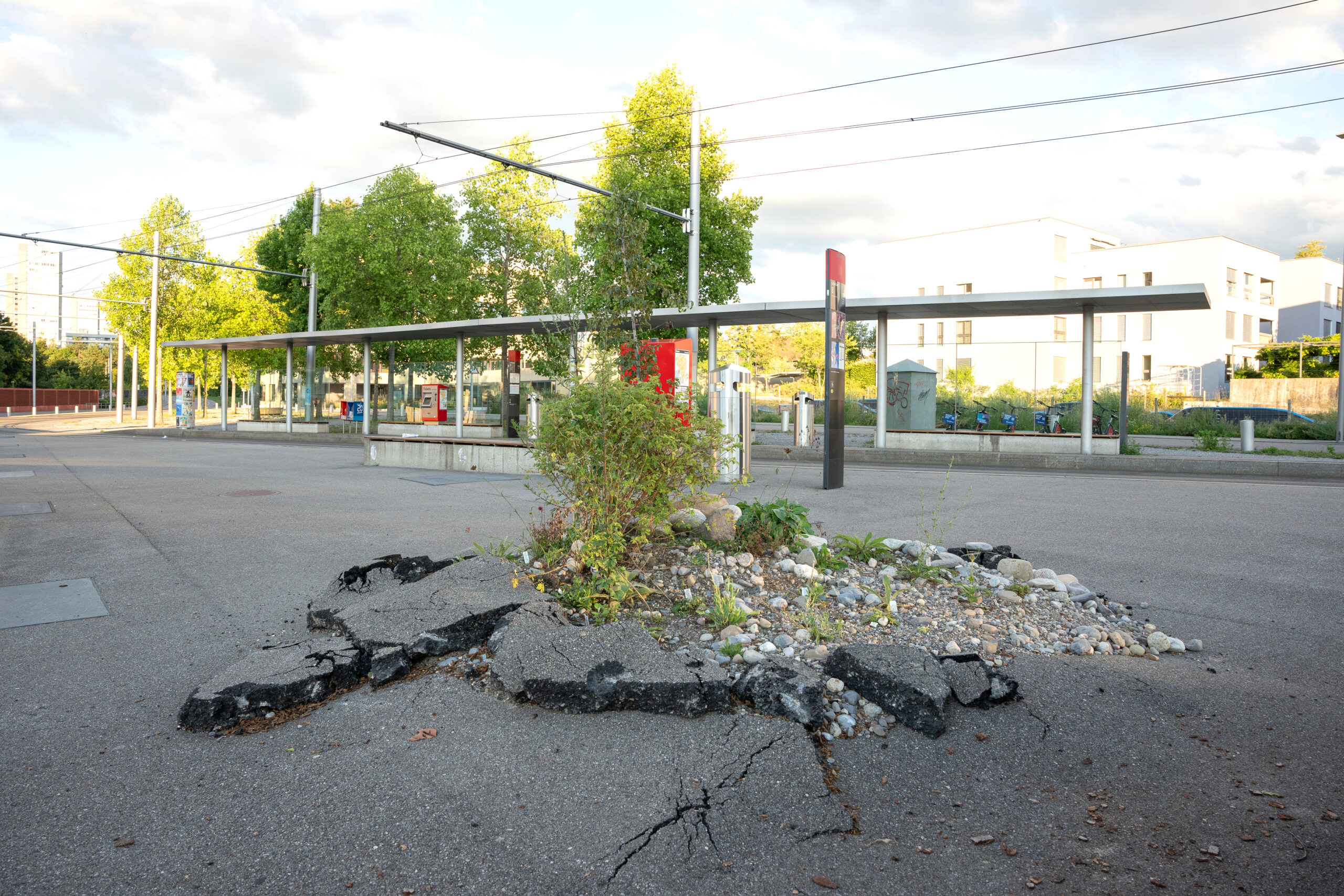 2_BindingPreis-Ansermetplatz-Foto-S-Wuersch