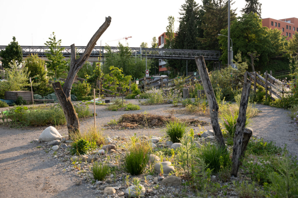 ArealBach BioTerraGarten | Binding Preis Biodiversität