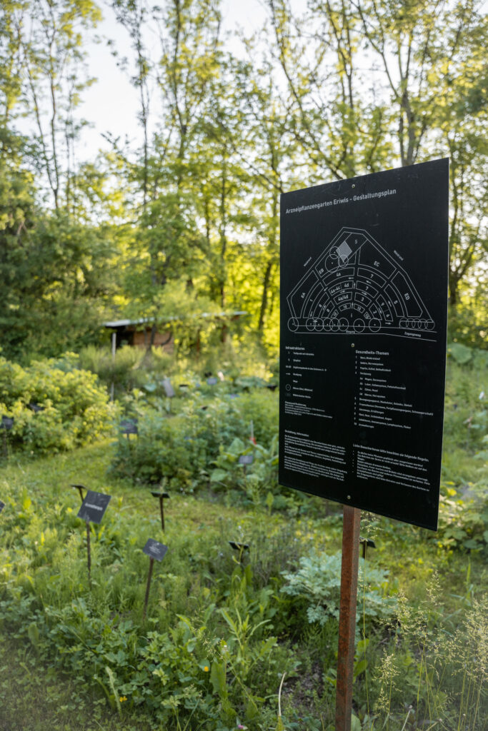Im Schaugarten mit rund 150 verschiedenen Arznei- und Giftpflanzenarten können sich Besuchende in Pflanzenheilkunde und Gesundheitsförderung weiterbilden. Binding Preis für Biodiversität 2025 © Stefanie Würsch