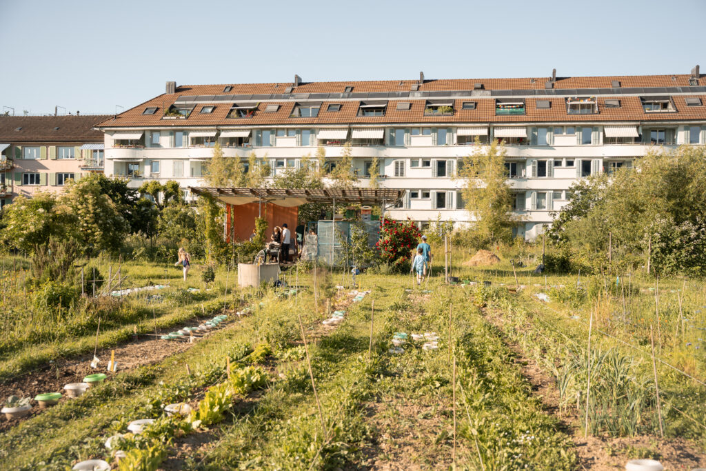 Das Herzstück der Anlage ist der Gemüsegarten, welchen die Vereinsmitglieder selbstverständlich pestizidfrei und ohne Maschinen bewirtschaften. Binding Anerkennungspreis 2025. © Stefanie Würsch