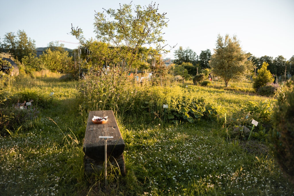 Im Kräutergarten finden sich diverse Würz- und Heilpflanzen, alle mit Namen beschriftet. Binding Anerkennungspreis 2025. © Stefanie Würsch