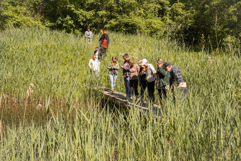 In den Teichen der ehemaligen Tongrube leben seltene Amphibienarten wie die Gelbbauchunke, die Geburtshelferkröte und der Fadenmolch. Binding Preis für Biodiversität 2025. © Stefanie Würsch