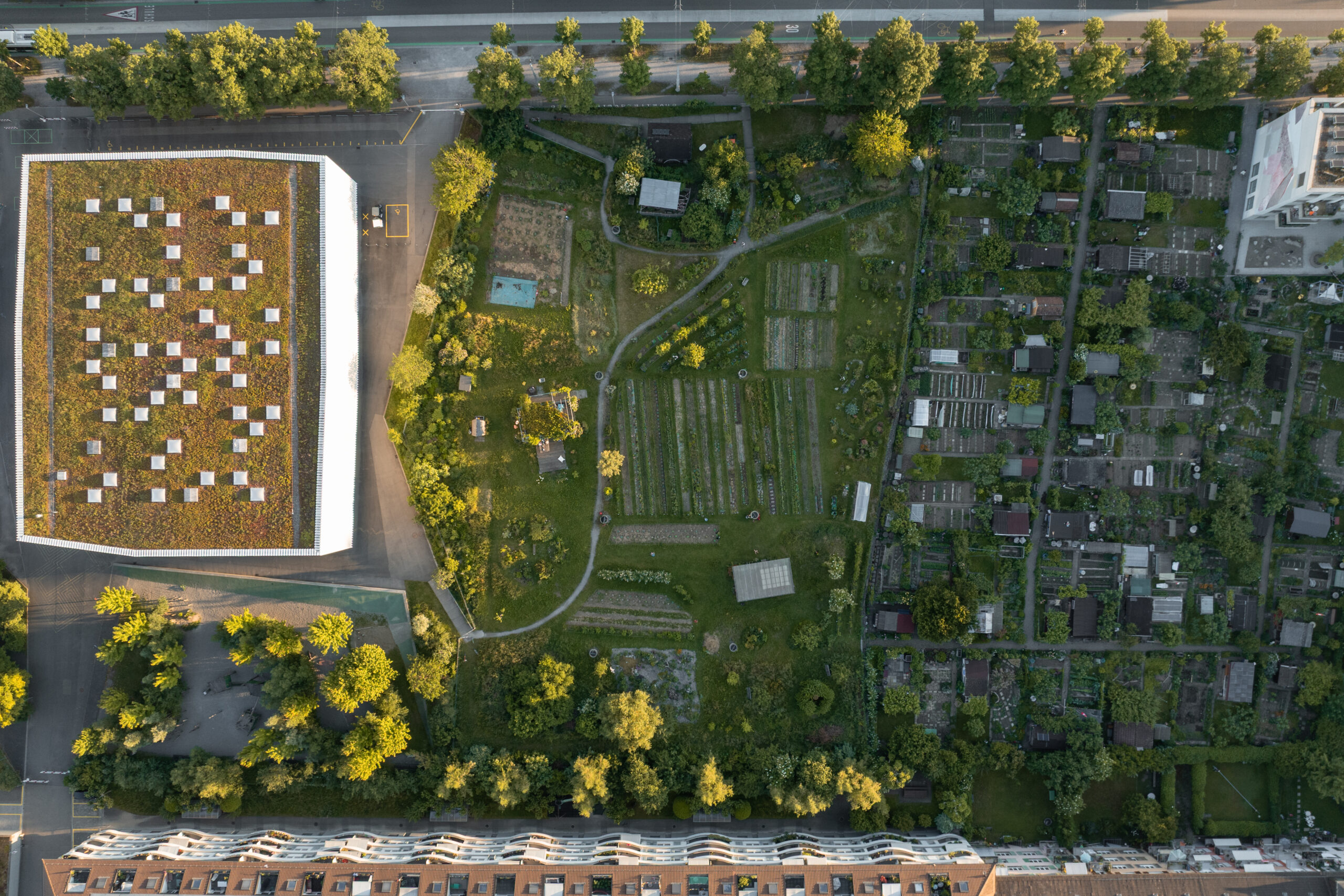 DJI_0803