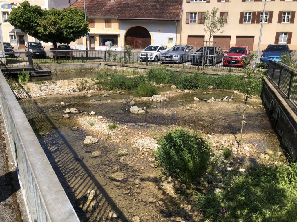 Quelllebensraum inmitten der Gemeinde Fontenais. (c) Martin Rais