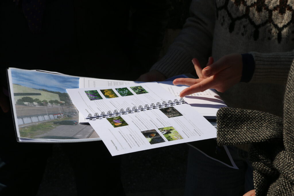 Ein Pflegeplan gibt Anweisungen, wie die Pflege des Areal Bach in Zukunft gehandhabt wird.