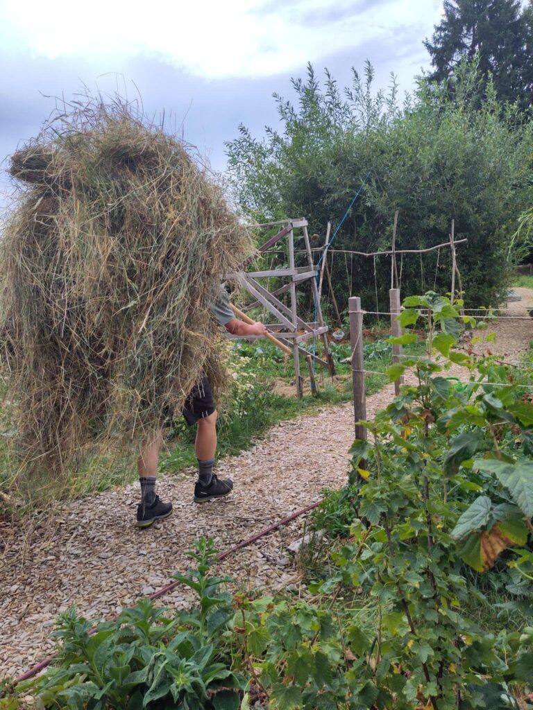 Eindrücke aus Pra Roman im Sommer 2025